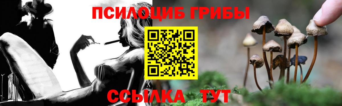 Псилоцибиновые грибы Psilocybine cubensis  Вход с VPN  Чита 