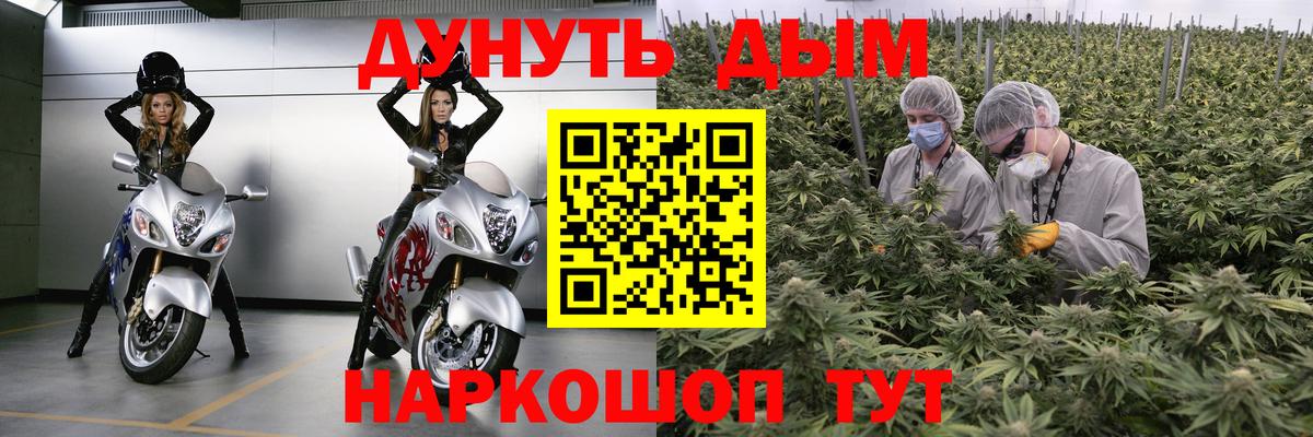 Бошки марихуана AK-47  МАРИХУАНА THC 21%  Чита  Вход с VPN  Каннабис ГИДРОПОН  Конопля семена 